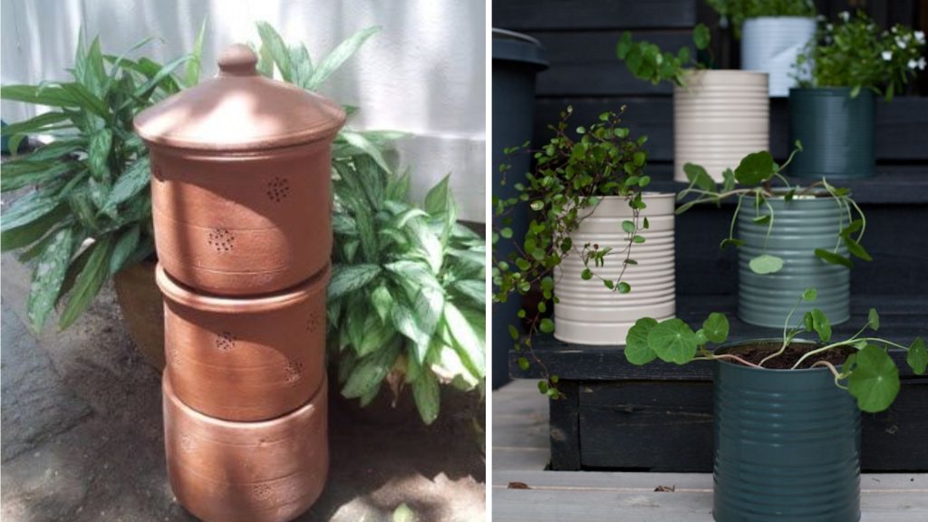 Eco-friendly rooftop garden with sustainable plants