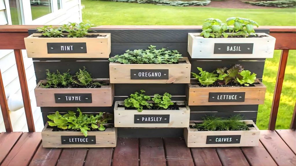 Kitchen & Herb Gardens